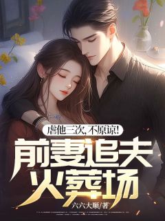 抖音热推小说《虐他三次，不原谅！前妻追夫火葬场》全文在线阅读
