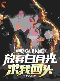 《退婚后，未婚妻放弃白月光求我回头》柳如烟苏尘-小说未删减阅读
