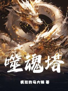 抖音爆款《噬魂塔》秦泽叶翩羽无广告阅读
