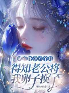 试管怀孕六个月，得知老公将我卵子换了（全本）清羽季泊淮完整章节列表免费阅读
