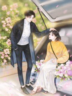 苏昭宁顾承远主角抖音小说《离婚后，我成了前夫高攀不起的痛》在线阅读
