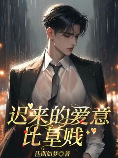 抖音沈云初霍司宴小说叫什么名字
