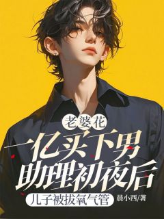 晨小西写的小说《老婆花一亿买下男助理初夜后，儿子被拔氧气管》段淮川傅晚卿全文阅读
