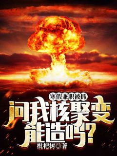 寒假兼职军火商被抓，问我核聚变能造吗？by枇杷树
