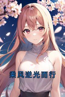 陈乐川苏盈陆沉主角的小说完结版《乘风逆光而行》全集

