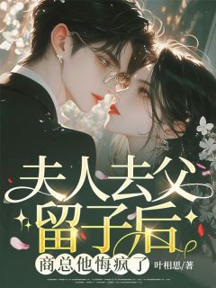 夫人去父留子后，商总他悔疯了小说(连载文)-叶栩栩商时序无广告阅读
