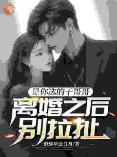 火爆是你选的干哥哥，离婚之后别拉扯小说，主角是李剑锋陈雨薇在线阅读全文无删减
