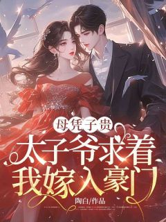《母凭子贵：太子爷求着我嫁入豪门》夏时谢长宴小说完整在线阅读
