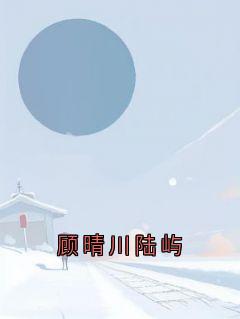 顾晴川陆屿