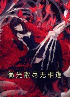 《微光散尽无相逢》沈知微周凛野免费全章节目录阅读
