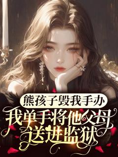 熊孩子毁我手办，我单手将他父母送进监狱小说(完结)-韩新王阿姨无删减阅读
