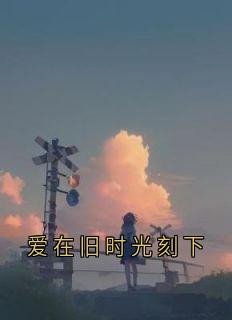 爱在旧时光刻下未删减阅读
