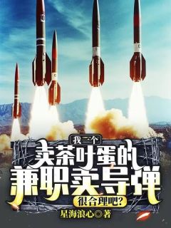 《我一个卖茶叶蛋的，兼职卖导弹，很合理吧？陈跃孔茂林》我一个卖茶叶蛋的，兼职卖导弹，很合理吧？全文免费阅读【完整章节】
