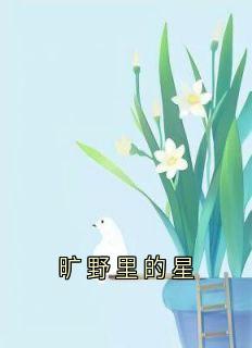 （好书推荐）旷野里的星小说最新章节小说全文阅读
