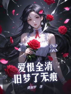 爱恨全消，旧梦了无痕小说(连载文)-司锦年林见语无广告阅读
