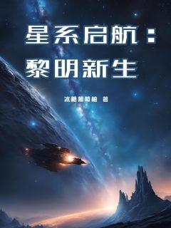 主角楚星辰林沐雨小说，星系启航：黎明新生免费阅读全文
