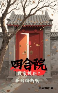 林家栋雷虎小说《四合院：投亲被拒？事后悔断肠！》全文阅读
