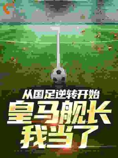 从国足逆转开始，皇马舰长我当了[抖音]小说-唐毅托基奇无删减阅读
