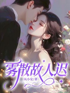 陆清野苏莹《雾散故人迟》全章节免费阅读
