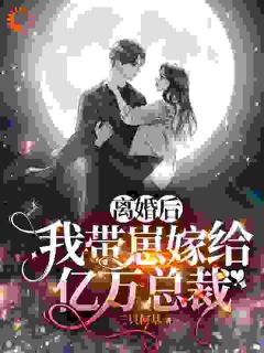 苏晓慧靳言小说抖音热文《离婚带崽闪婚，老公竟是财阀大佬》完结版
