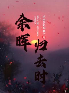 最完整版余晖归去时热门连载小说
