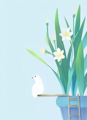 书荒必备《穿越女觊觎后位？我让她知道谁才是后宫主宰》全文章节阅读
