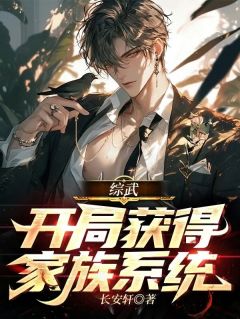 《综武：开局获得家族系统》周长寿张三丰全章节目录免费阅读
