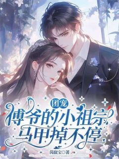 《团宠：傅爷的小祖宗马甲掉不停》（司柠傅宴礼）精彩小说目录阅读
