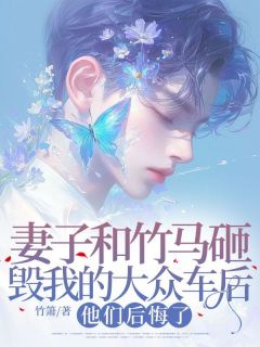《妻子和竹马砸毁我的大众车后，他们后悔了》by竹箫(许斯年沈星希)未删节免费阅读

