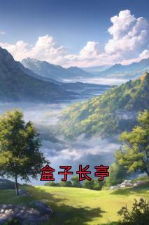 盒子长亭在线全文阅读-主人公沈折星苏禾小说
