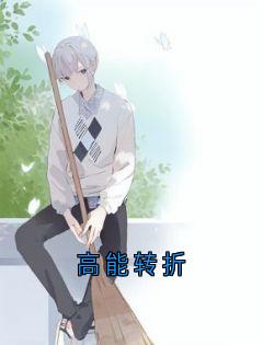 高能转折无弹窗在线阅读
